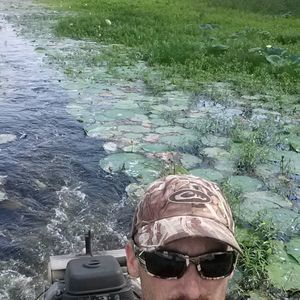 Meet your Posher, Nick